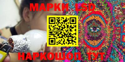 винт Можга